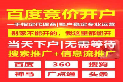 百度竞价赚钱的实战案例分析